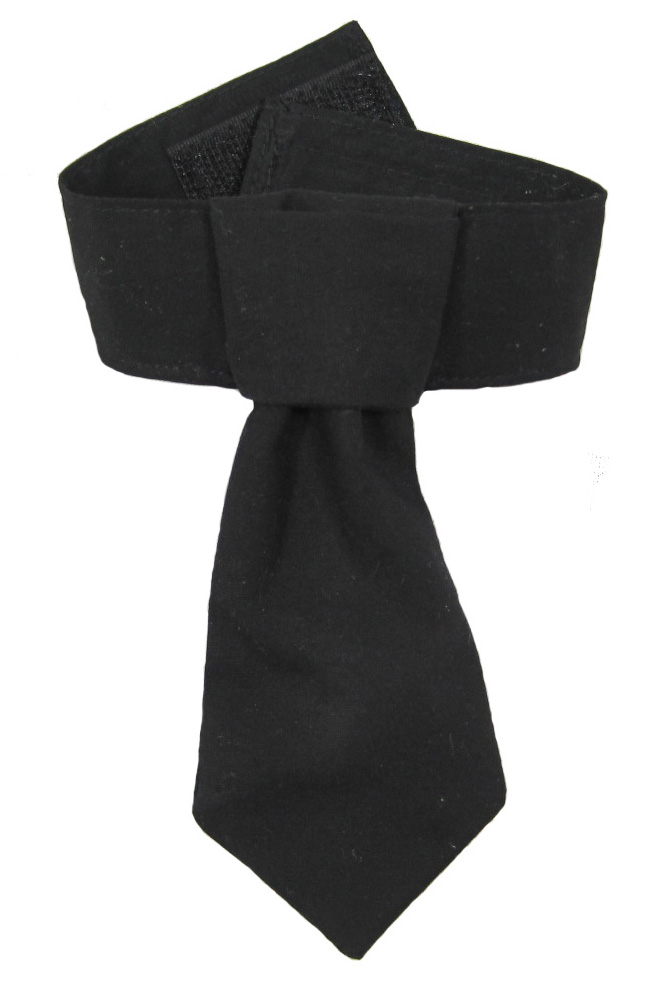 Formal Necktie & Collar