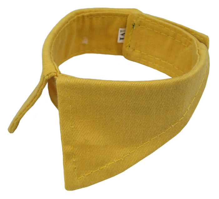 Dog attached collar