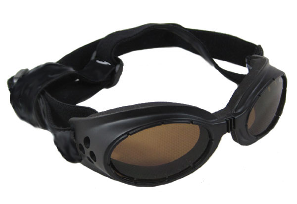 Dog Doggles