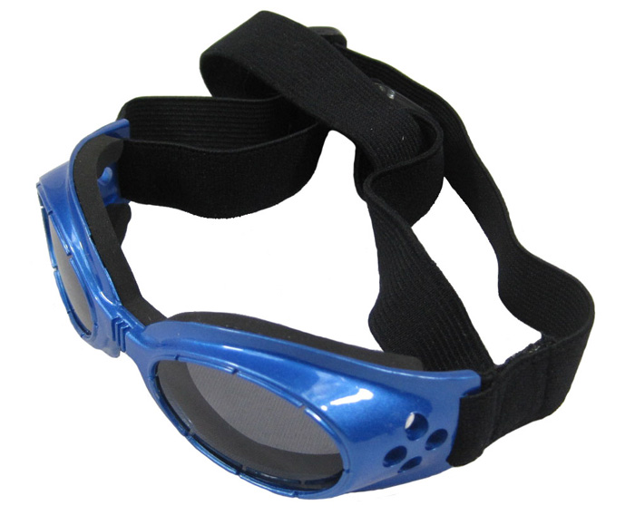 Dog Doggles
