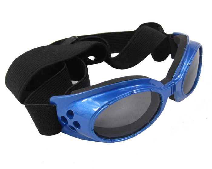 Dog Doggles