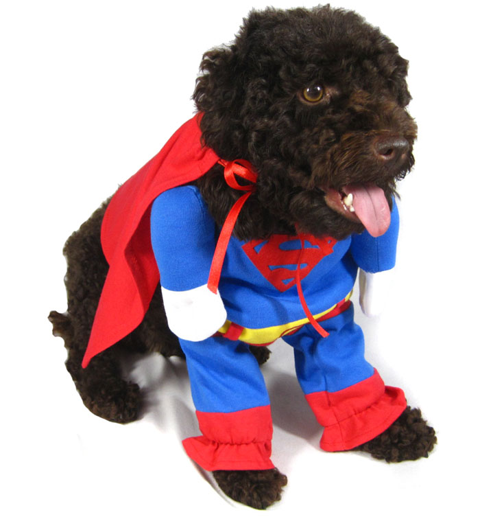 Pet Dog Clothes Costumes Superman