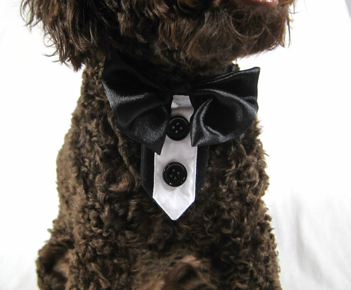 Dog Tie Collar
