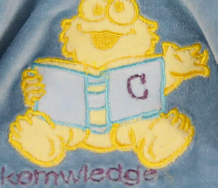 Velvet embroidery pet coats