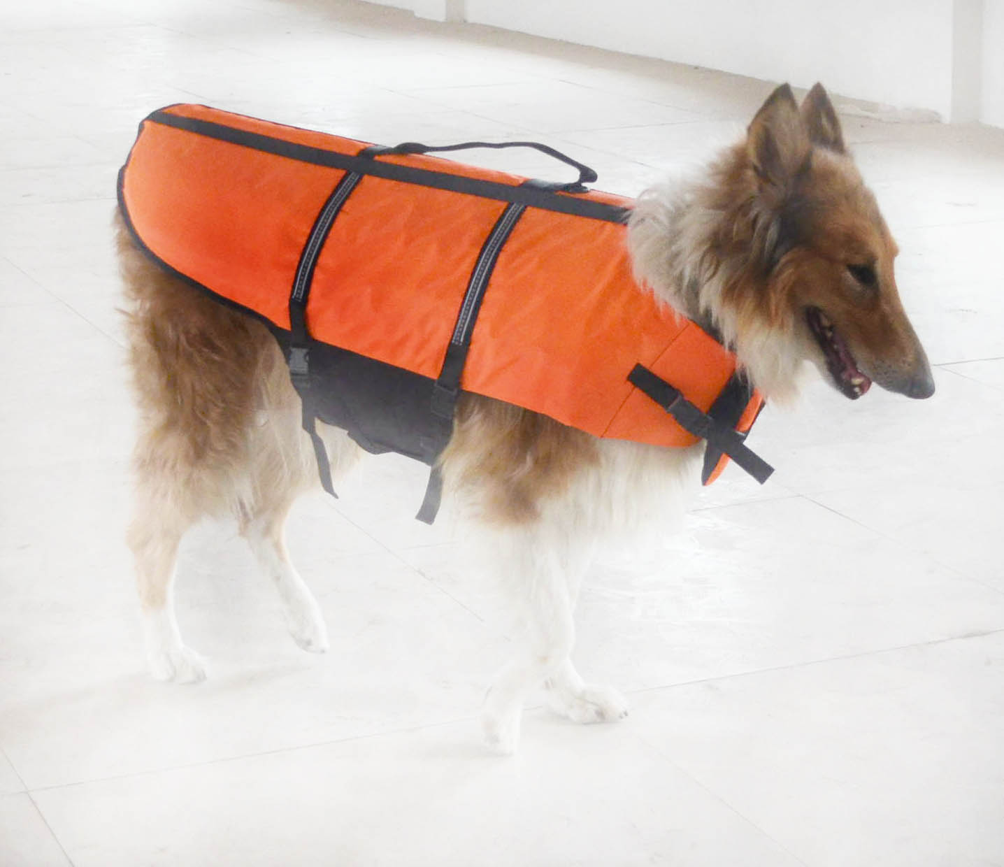 Large Dog Saver Life Jacket