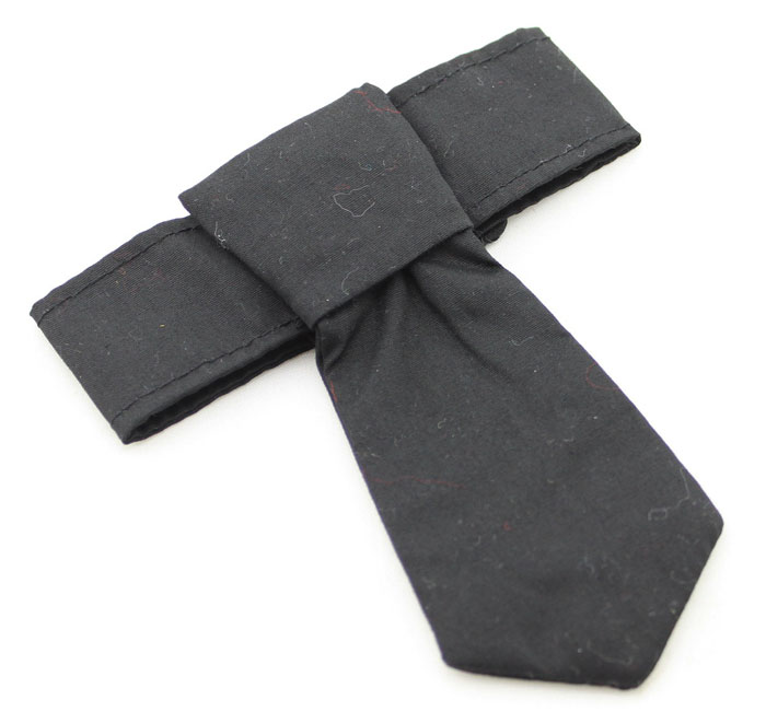 Formal Necktie & Collar