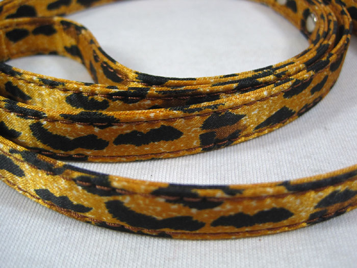 Leopard print Collar & Leash set