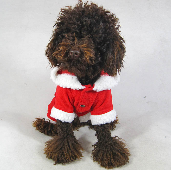 Santa dog Suit