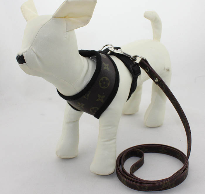 Leather Harness With Leads