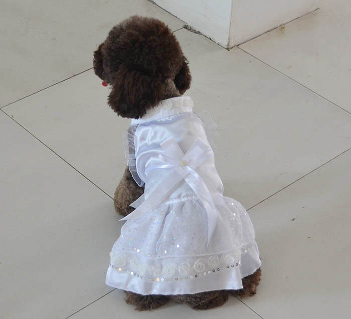 Cute Dog Princess Dress