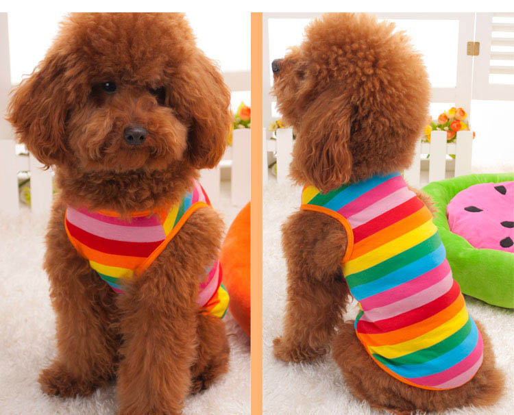The new cotton rainbow vest