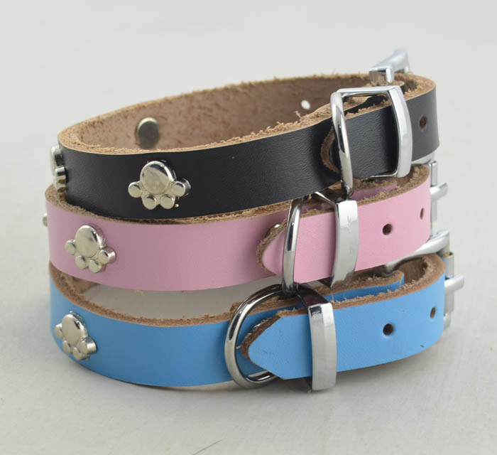 Genuine leather Dog collar 5 color Paws