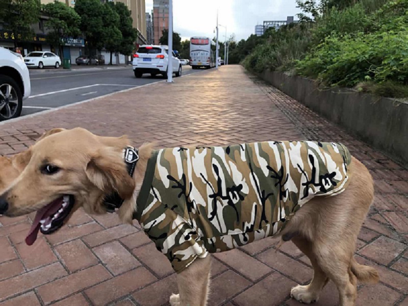 Large and small Dog Camo T-shirt