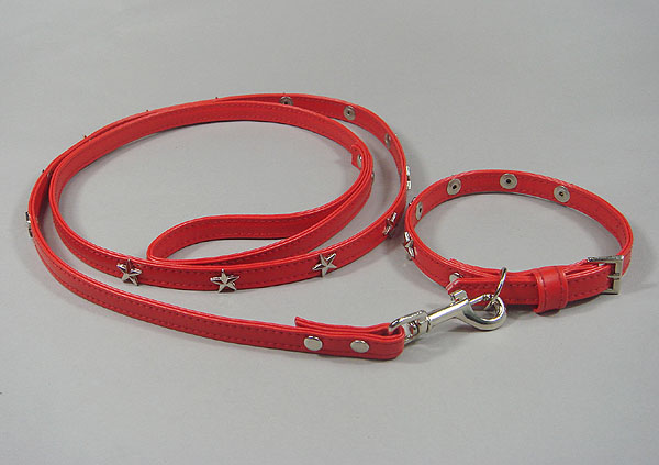 Silver Star Inlay Red Leather Collar leash set