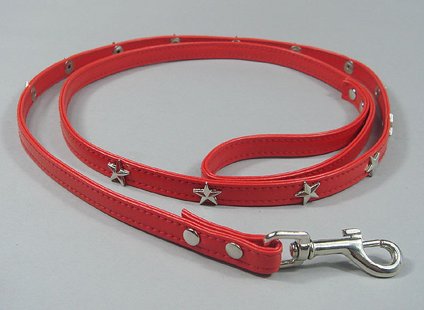 Silver Star Inlay Red Leather Collar leash set