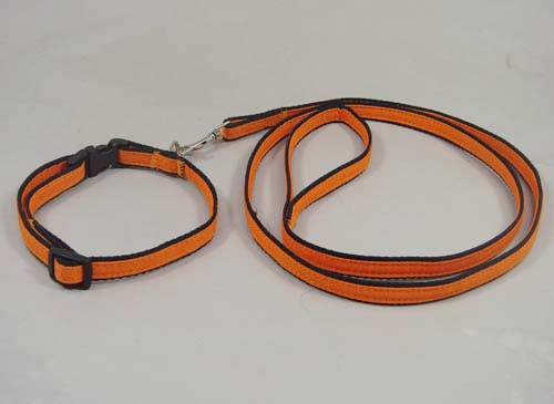 Dog Nylon Collar & Leash set