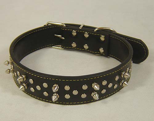 Large Dog spikes Leather Collar