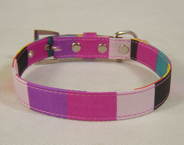 Dog Rainbow Collar & Leash set