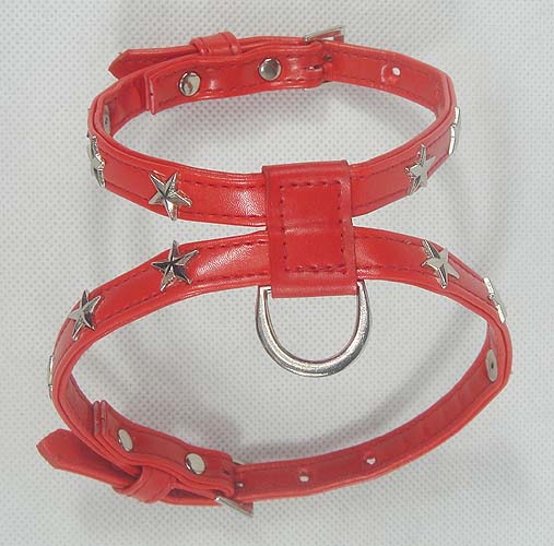 Silver Star Inlay Red Leather Harness